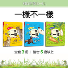 Load image into Gallery viewer, 小牛頓2024新品--一樣不一樣