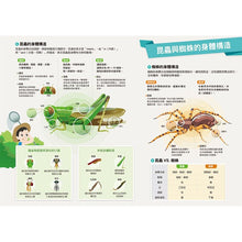 Load image into Gallery viewer, 預購--漫畫大英百科 套組 (全套60冊)