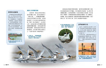 Load image into Gallery viewer, 少年讀臺灣:認識臺灣歷史、臺灣地理、臺灣生態及臺灣文化 (全套4冊)