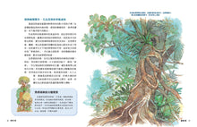 Load image into Gallery viewer, 少年讀臺灣:認識臺灣歷史、臺灣地理、臺灣生態及臺灣文化 (全套4冊)