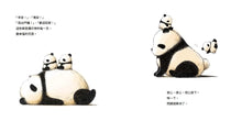Load image into Gallery viewer, 雙胞胎貓熊 (全套3冊)