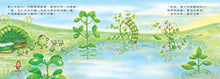 Load image into Gallery viewer, 小蠶豆和好朋友們