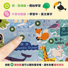 Load image into Gallery viewer, 有聲掛圖:奇妙的動物