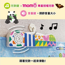 Load image into Gallery viewer, 有聲掛圖:奇妙的動物