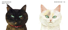 Load image into Gallery viewer, 貓和貓
