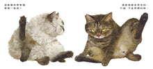 Load image into Gallery viewer, 貓和貓