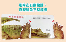 Load image into Gallery viewer, 方形書:動物捉迷藏