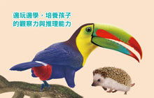 Load image into Gallery viewer, 方形書:動物捉迷藏