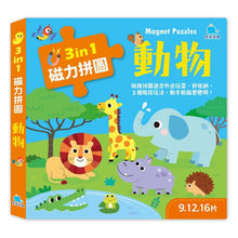 Load image into Gallery viewer, 3合1磁力拼圖:交通 動物 恐龍 海洋