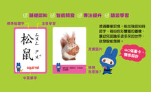 Load image into Gallery viewer, 忍者兔認知學習圖卡:數字123 x 字母ABC x 交通 x 動物【40張雙面全彩圖卡+收納鐵盒】