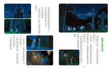 Load image into Gallery viewer, 安雅與魔女