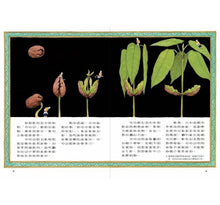 Load image into Gallery viewer, 科學不思議7:巧克力身世之謎