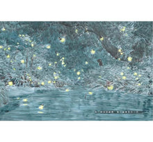 Load image into Gallery viewer, 科學不思議:點亮螢火蟲之光