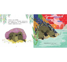 Load image into Gallery viewer, 小鴨嘴獸的一天