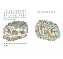 Load image into Gallery viewer, 小鼠拍檔:康柏與小波的遊樂園之旅