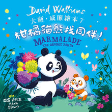 Load image into Gallery viewer, 大衛威廉:柑橘貓熊找同伴!