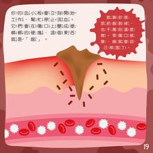 Load image into Gallery viewer, 身體為什麼系列:我為什麼會流血?