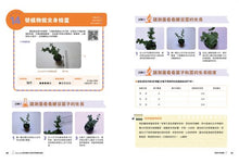Load image into Gallery viewer, 比youtube更有趣的兒童科學實驗遊戲2:50個在家就能玩的科學實驗全圖解