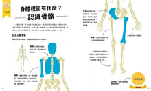 Load image into Gallery viewer, 【小學生未來志願系列】