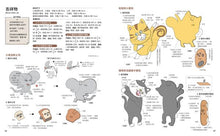 Load image into Gallery viewer, 麵包小偷全世界最可愛!親子手作小物BOOK(隨書附錄原寸紙型)