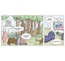 Load image into Gallery viewer, 烏龜先生今年幾歲?