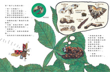 Load image into Gallery viewer, 蟲蟲週刊特別報導 誰才是擬態高手?