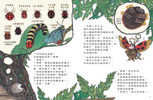Load image into Gallery viewer, 蟲蟲週刊特別報導 誰才是擬態高手?