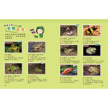Load image into Gallery viewer, 蟲蟲博士的觀察報告 1-3
