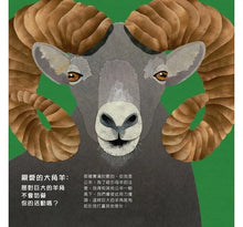 Load image into Gallery viewer, 為什麼長這樣?:25個Q&A,認識動物奇妙的臉