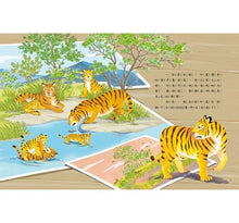 Load image into Gallery viewer, 愛的故事‧知識繪本15:老虎的守護者