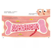 Load image into Gallery viewer, 身體知識探索系列:洗手 x 剪髮 x 骨頭