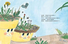 Load image into Gallery viewer, 美麗新世界:胖花盆和瘦花盆