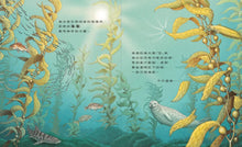 Load image into Gallery viewer, 地球不碳氣:氣候變遷、減碳和我們的未來