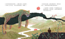 Load image into Gallery viewer, 糞金龜想要更多大便!