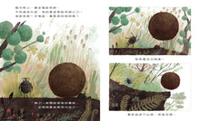 Load image into Gallery viewer, 糞金龜想要更多大便!