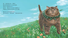 Load image into Gallery viewer, 小偷貓老大當保母