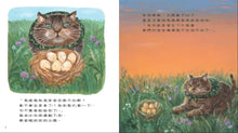 Load image into Gallery viewer, 小偷貓老大當保母