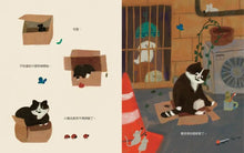 Load image into Gallery viewer, 喵咪找新家!