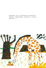 Load image into Gallery viewer, 雲豹的屋頂