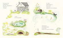 Load image into Gallery viewer, 安咪的庭院