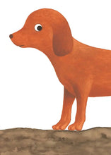 Load image into Gallery viewer, 我的後面是誰呢?小樹林 x 大海 x 小河邊 x 原野 x 熱帶草原 (全套五冊)