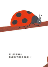 Load image into Gallery viewer, 我的後面是誰呢?小樹林 x 大海 x 小河邊 x 原野 x 熱帶草原 (全套五冊)