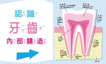 Load image into Gallery viewer, 亮晶晶牙齒小百科:口腔保健知識繪本