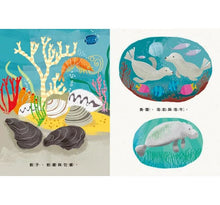 Load image into Gallery viewer, 感謝有水:水如何使我們的星球生生不息