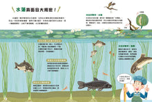 Load image into Gallery viewer, 食在有意思 1:揭密食材真面目