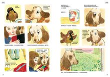 Load image into Gallery viewer, 薩克奇不見了!