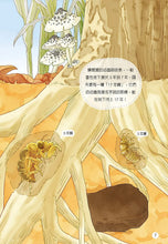 Load image into Gallery viewer, 蟲蟲洞:我的蟲蟲觀察日記