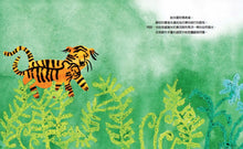 Load image into Gallery viewer, 嘎!小老虎的叫聲