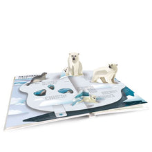 Load image into Gallery viewer, 小小知識家動手大發現:冰雪動物AMAZING!