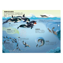 Load image into Gallery viewer, 小小知識家動手大發現:冰雪動物AMAZING!